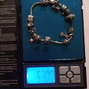 Silver PANDORA Charm Bracelet with RARE CHARMS